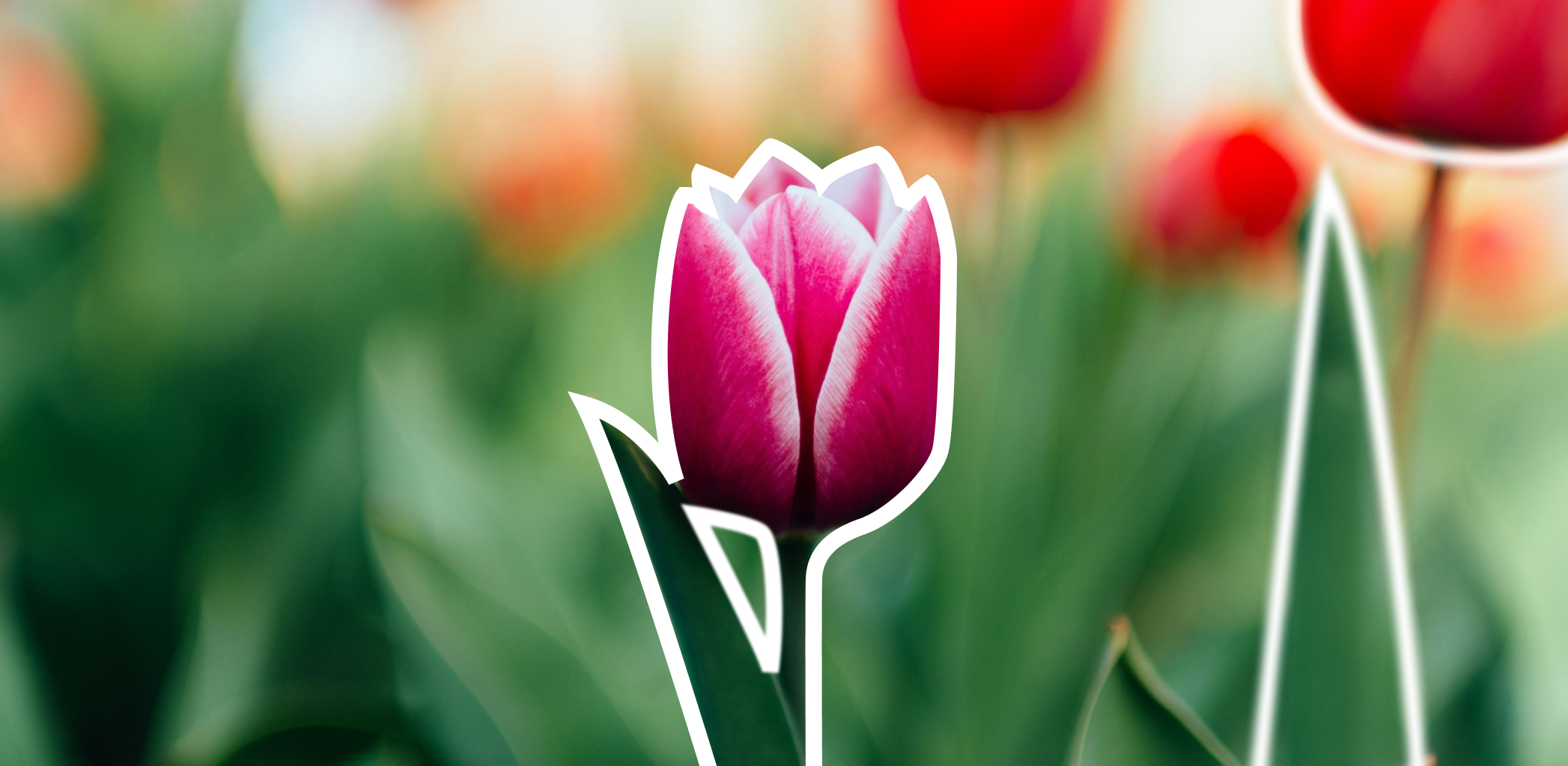 Проверенные идеи. Ландшафтный дизайн своими руками